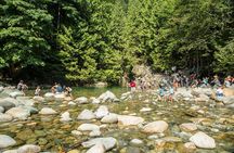 Mesmerizing Nature Walk in Lynn Canyon Park 