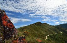 Explore Chingaza Natural Park: A Scenic Adventure from Bogotá