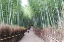 Kyoto Early Riser Platinum One-Day Walking Tour