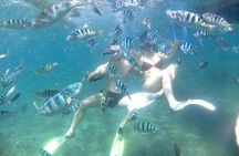 Snorkel the Beautiful Blue Lagoon 