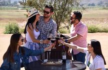 Tasting of 5 wines and tour