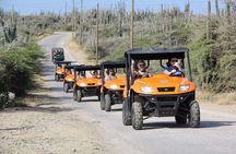 Aruba UTV Tour with Natural Cave Pool and Cliff Jumping