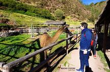 Tour to Sacred Valley: Tour Pisaq, Ollantaytambo, and Chinchero.