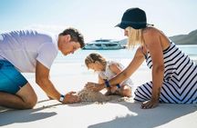 Whitehaven Beach and Hamilton Island Cruise from Airlie Beach