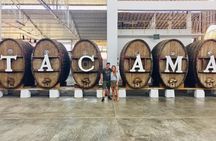 1 Day Tour to Huacachina from Lima (Dunebuggy + Vineyards)