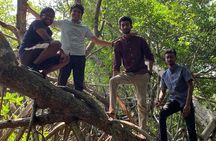 Mangrove Adventure