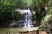 Colo-i-Suva Waterfall Tour (Suva)