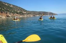 Sea Kayak in Astros