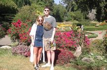 Kandy Day Trip from Colombo: Tea Factory- Peradeniya Botanical Gardens-Kandy