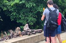 Hoi An or Da Nang to Golden Bridge, SonTra Monkey Mountain, Marble Mountain 