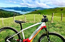 Lava Loop- Guided electric mountain bike tour in Akaroa