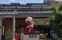 Takayama Old Town Walking Tour with Local Guide