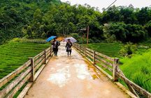 Rice Terraced Fields & Homestay Experience– 2D 1N