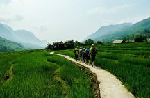 Rice Terraced Fields & Homestay Experience– 2D 1N
