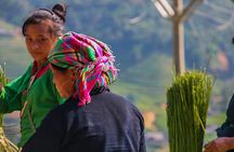 Rice Terraced Fields & Homestay Experience– 2D 1N