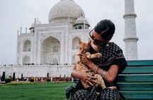 Agra Half-Day Tour of Taj Mahal and Agra Fort by Car