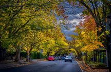 Small Group Adelaide Hills and Hahndorf Hideaway Tour from Adelaide