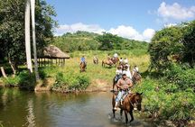 Horseback Riding River swimming From Bayahibe 