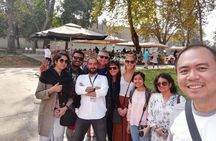 Professional Historian Tour Guide Private Service