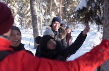 Wilderness Survival Tour - Winter