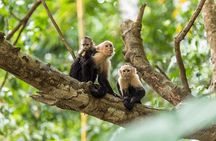 Manuel Antonio National Park one day tour from San Jose