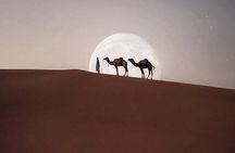 Casablanca : Hire a car with driver and licensed guide 