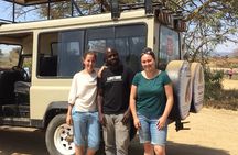 2Days 1Night tour to Mikumi National Park (Road trip)