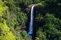 Discover Kauai (departs from Princeville)