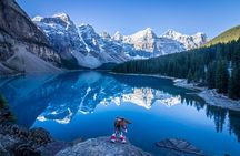 Caribou - Discover the Best of the Rockies (8-Days)