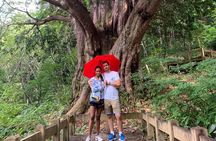 Hiking tour around Takayama city (About 3 hours)