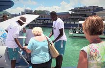Oculus Glass Bottom Boat Tour 
