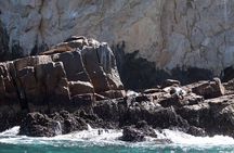 Private Los Cabos Arch & Playa del Amor tour by Glass bottom kayak