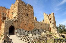 One Day Trip to Jerash & Ajloun Castle