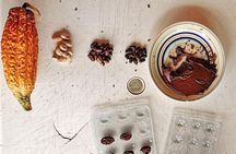 Chocolate Farm Private Tour in Medellin: Real Genuine Experience