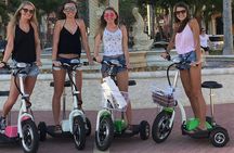 Naples Guided Electric Trike Tour 