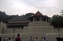 Sri Lanka 5 Day Privet Tour