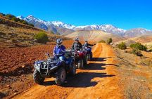 Half day quad on the lake and the Agafay desert