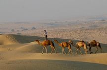 2 Days-1 Night Camel Tour