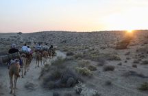 2 Days-1 Night Camel Tour