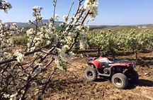 Segesta Quad Tour
