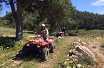 Segesta Quad Tour