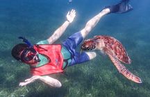 Under the Sea snorkeling(Stingray/Kayak/ Power Snorkel available)