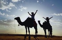 Camel ride & overnight in desert camp