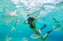 El Cielo Snorkel by Private Boat
