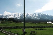 Trip to Beautiful Gulmarg from Srinagar City.
