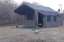 Authentic Safari