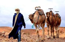 Magical dinner on sunset in Agafay desert and Camel Ride