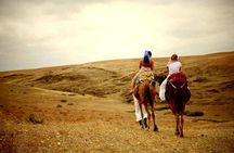 Marrakech: Agafay desert, Magical dinner & sunset and camel ride