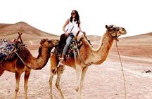 Magical dinner on sunset in Agafay desert and Camel Ride