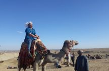  Giza Pyramids, Memphis and Sakkara Tour